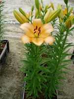 [1669 DigitalGlobe No02.JPG]